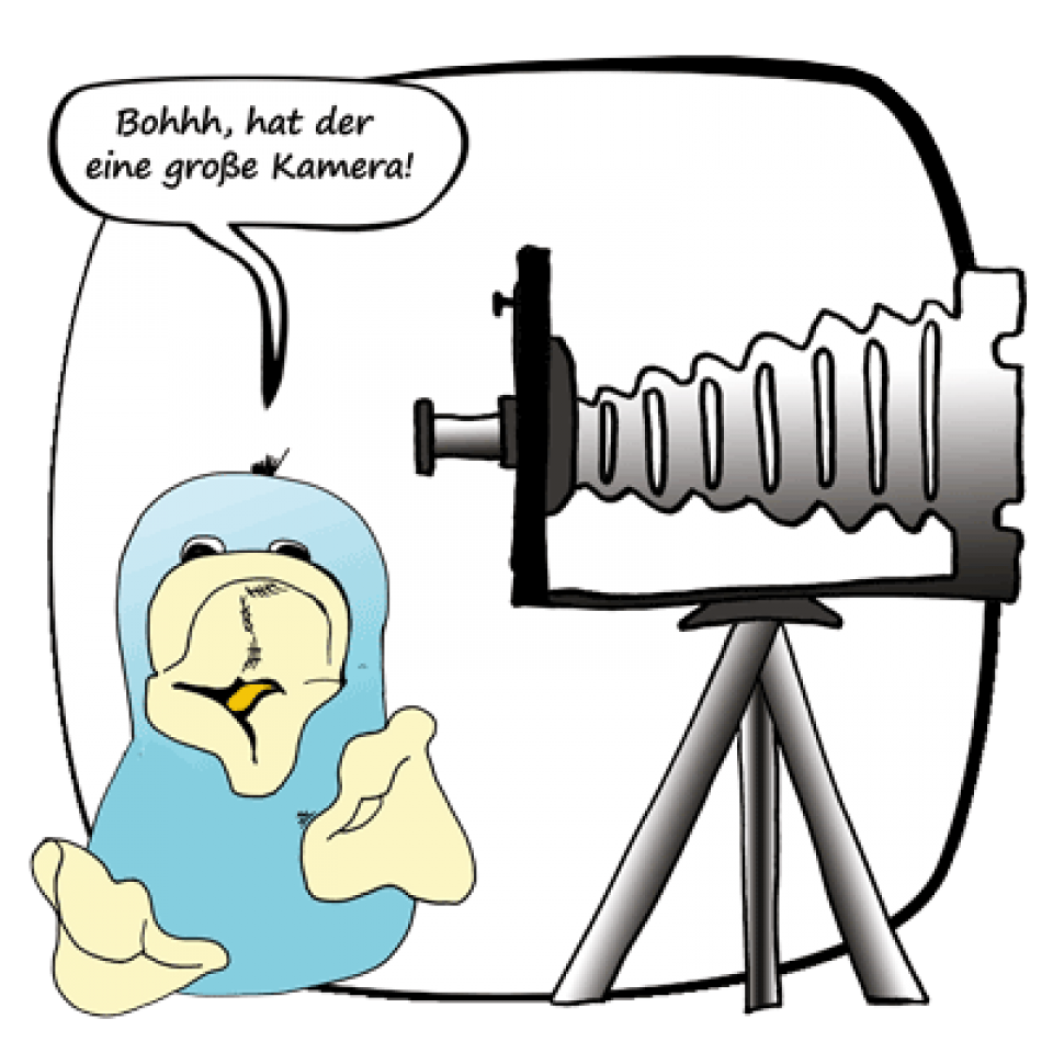 Elsa entdeckt den Fotoapparat